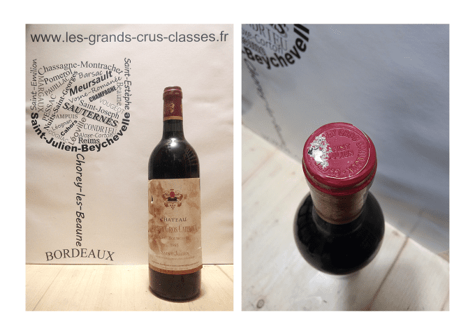 Château Terrey Gros Cailloux 1993